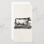 Vintage Durham Cow Bull Personalized Illustration (Front/Back)