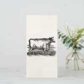 Vintage Durham Cow Bull Personalized Illustration (Standing Front)