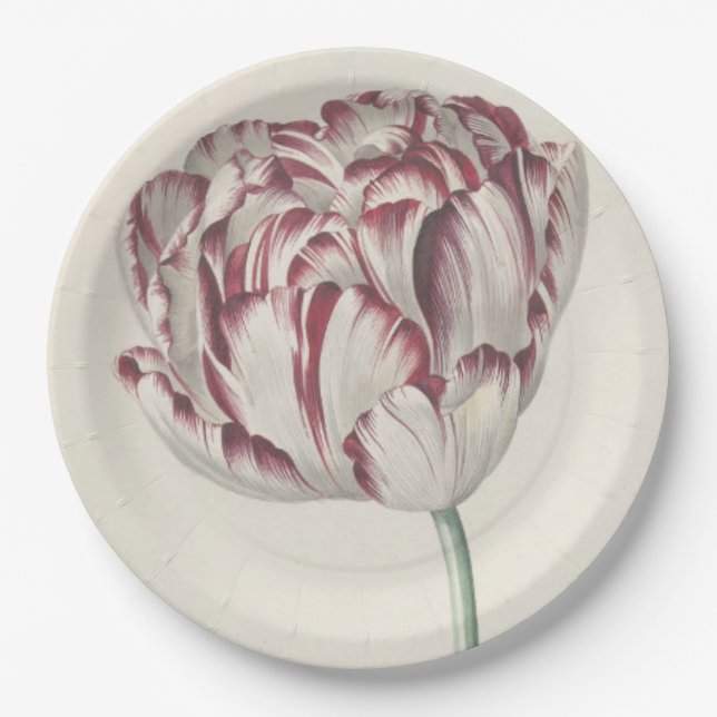 Vintage Dutch Art: White and Red Tulip Paper Plates (Front)