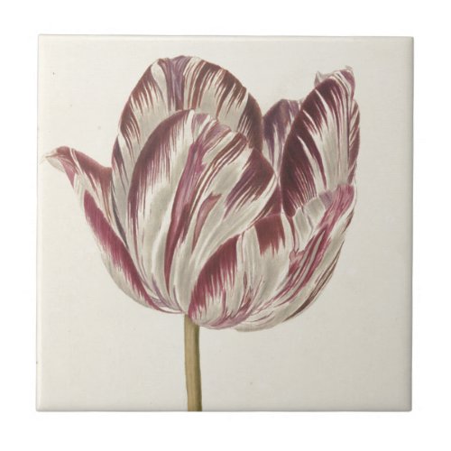 Vintage Dutch Art White and Red Tulip Tile