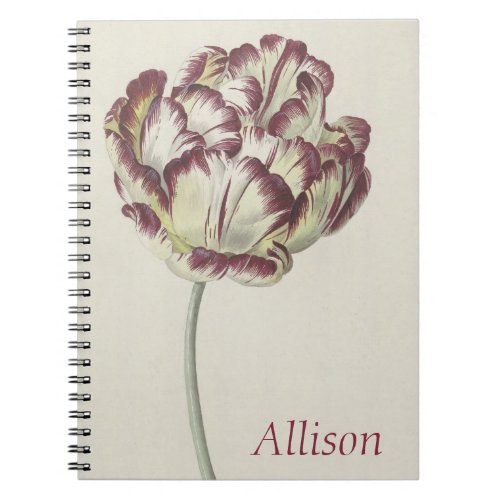 Vintage Dutch Art White Red and Yellow Tulip Notebook