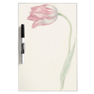 Vintage Dutch Fine Art: Pink and White Tulip Dry-Erase Board