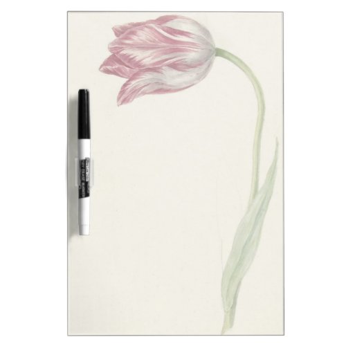 Vintage Dutch Fine Art Pink and White Tulip Dry_Erase Board