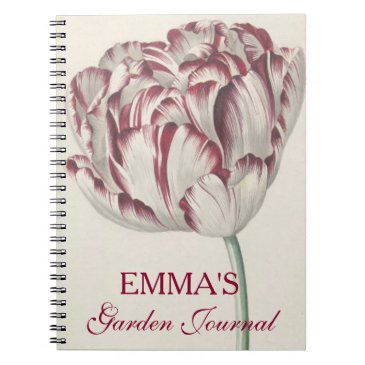 Vintage Dutch Fine Art Tulip - Personalized Garden