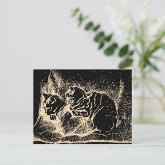 Vintage Dutch Fine Art - Two Sleeping Cats Postcard