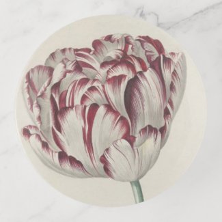 Vintage Dutch Floral Fine Art: White and Red Tulip Trinket Tray