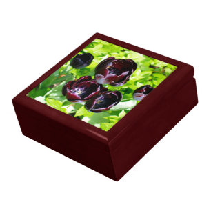 Vintage Dutch Purple Green Black Tulips Photo Keepsake Box