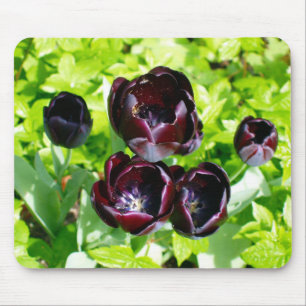 Vintage Dutch Purple Green Black Tulips Photo Mouse Pad