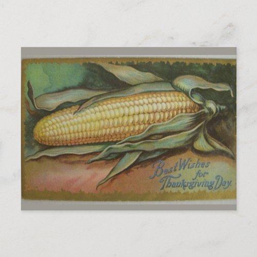 Vintage Ear of Corn Thanksgiving Greetings Postcard