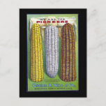 Vintage Ears Of Corn Advertisement - Postcard at Zazzle