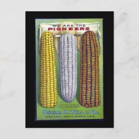 Vintage Ears Of Corn Advertisement - Postcard