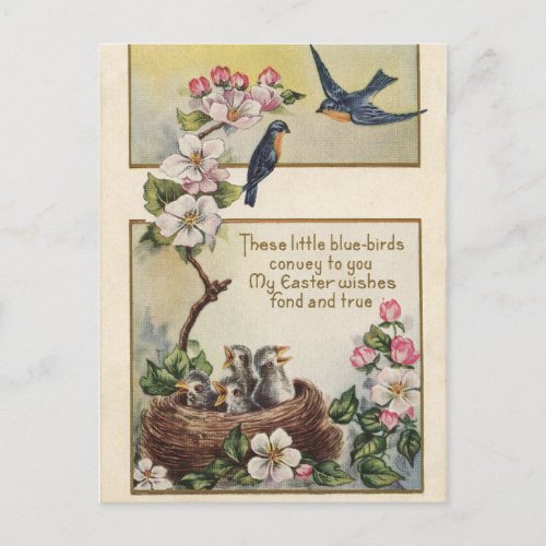 Vintage Easter blue birds and nest greetings Holiday Postcard