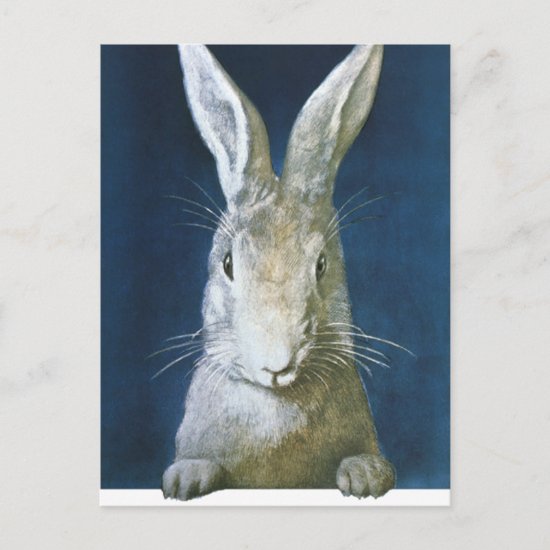 Vintage Easter Bunny Cute Furry White Rabbit Holiday Postcard