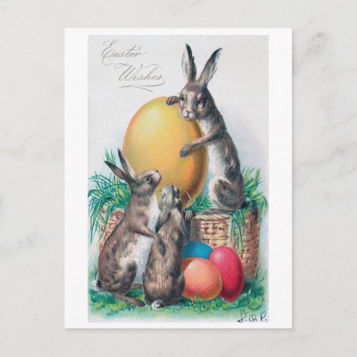 Vintage Easter Bunny Egg Postcard