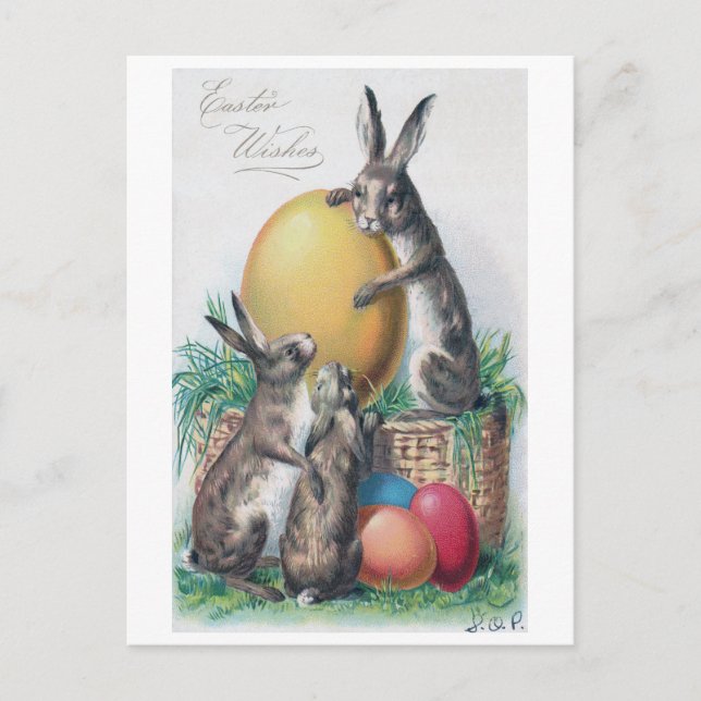 Vintage Easter Bunny Egg Postcard (Front)