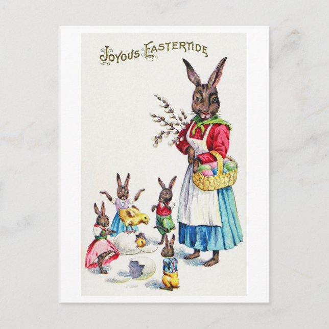 Vintage Easter Bunny Family and Chick Postcard (Front)
