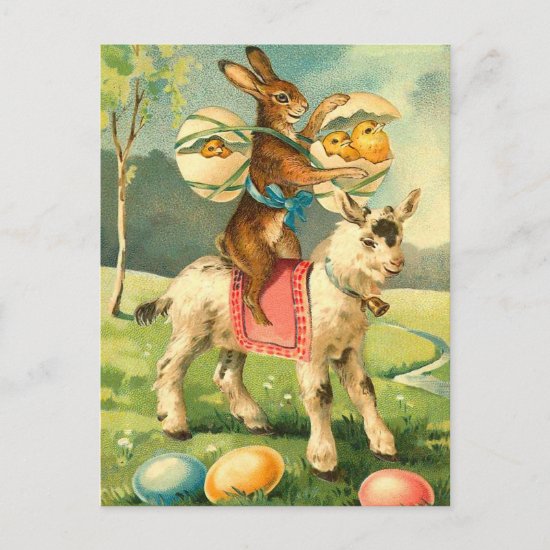 Vintage Easter Bunny Postcard