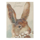 Vintage Easter Bunny Rabbit