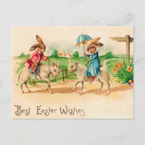 Vintage Easter Bunny Rabbit Riding Lambs Greetings Postcard