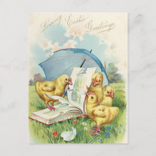 Vintage Easter Chick Holiday postcard
