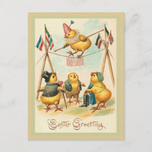 Vintage Easter Chick Postcard