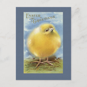 Vintage Easter Chick Postcard