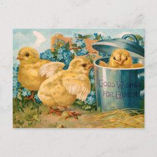 Vintage Easter Chicks and Forget-Me-Nots Postcard