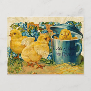Vintage Easter Chicks Holiday Postcard