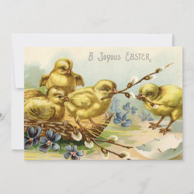 Vintage Easter Chicks Party Invitation (Front)