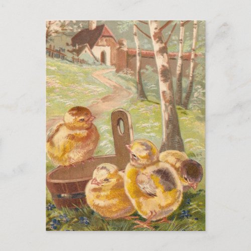 Vintage Easter Chicks Postcard