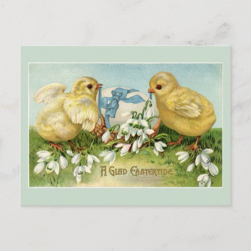 Vintage Easter Chicks Postcard