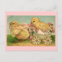 Vintage Easter Chicks Postcard