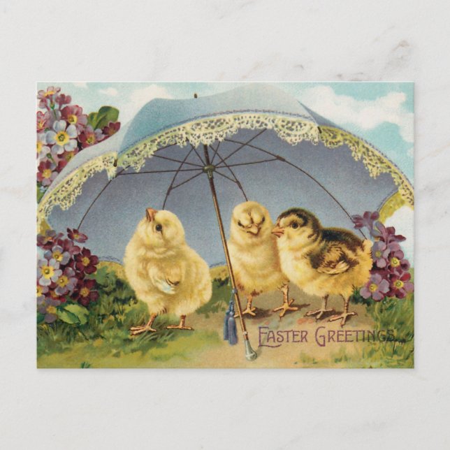 Vintage Easter Chicks Under an Umbrella Postcard (Front)