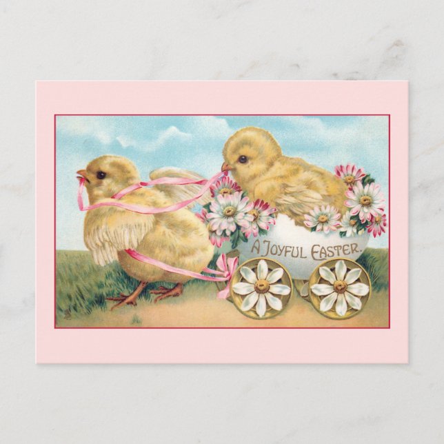Vintage Easter Chicks with Daisies Postcard (Front)