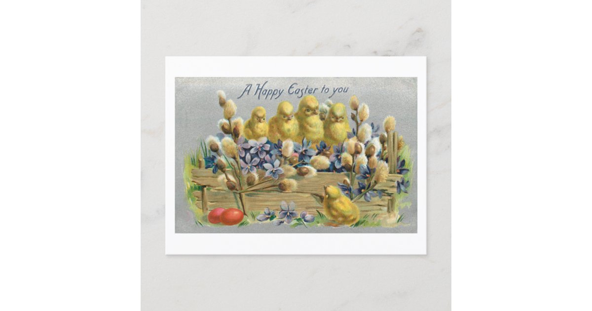 Vintage Easter Chicks With Pussy Willows And Violets Holiday Postcard