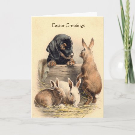 Vintage Easter - Dachshund Puppy & Bunnies, Holiday Card