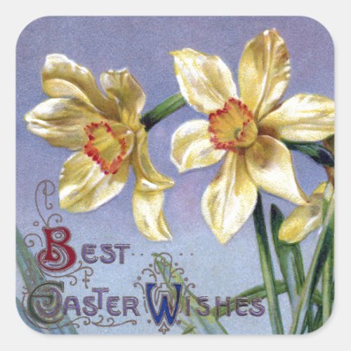 Vintage Easter Daffodils Square Sticker