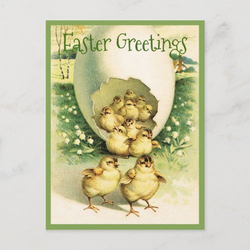 Vintage Easter Greetings Chicks Postcard