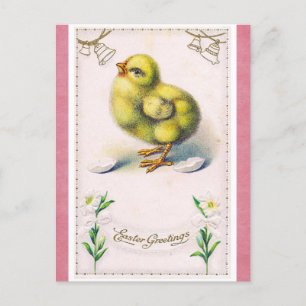 Vintage Easter Greetings Cute Spring Chick Postcard