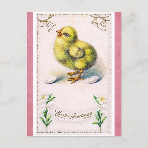 Vintage Easter Greetings Cute Spring Chick Postcard