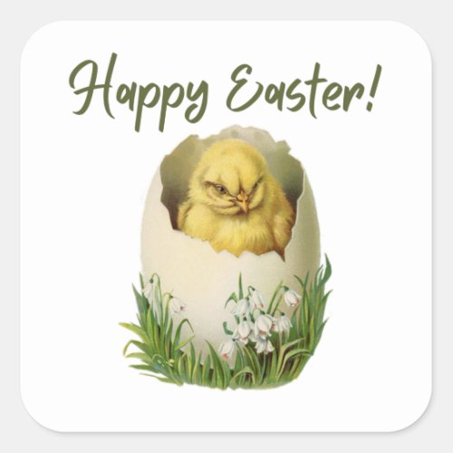 Vintage Easter Hatching Chicken  Square Sticker