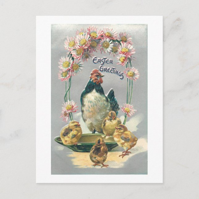 Vintage Easter Hen, Chicks & Daisies Postcard (Front)