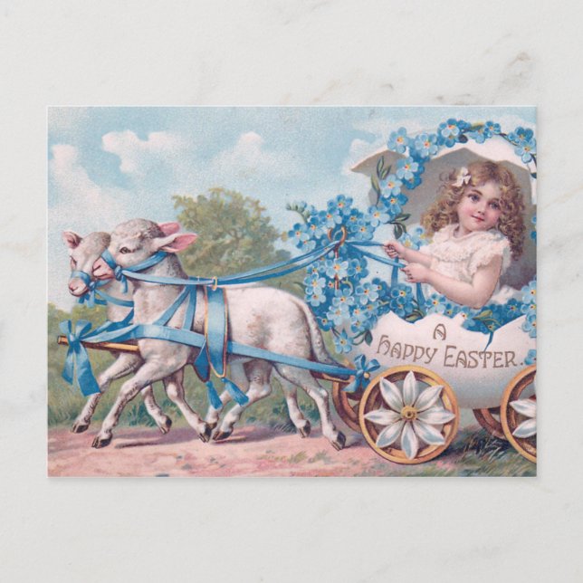 Vintage Easter Illustration with Girl and Lambs Postcard (Front)