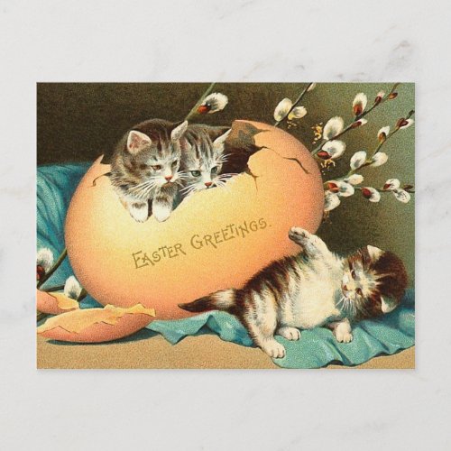 Vintage Easter Kitten Postcard