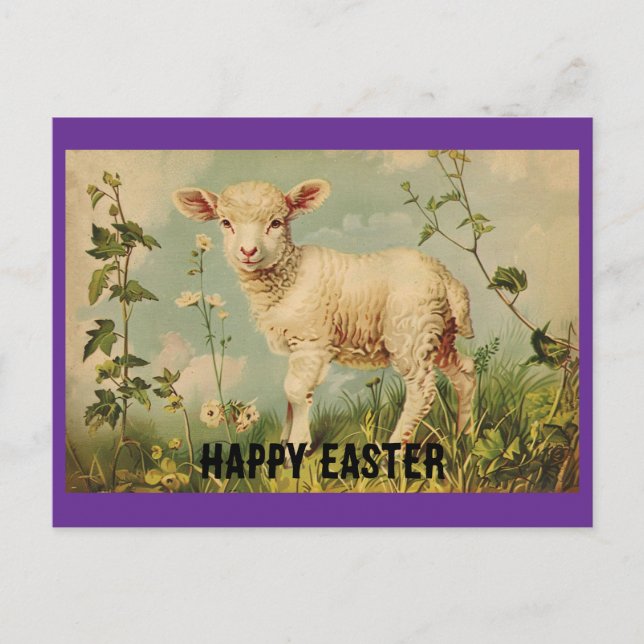 Vintage Easter Lamb Holiday Postcard (Front)