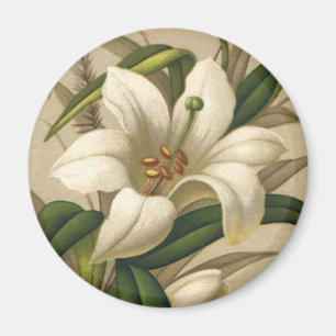 Vintage Easter Lilies, Victorian Flowers in Bloom Magnet