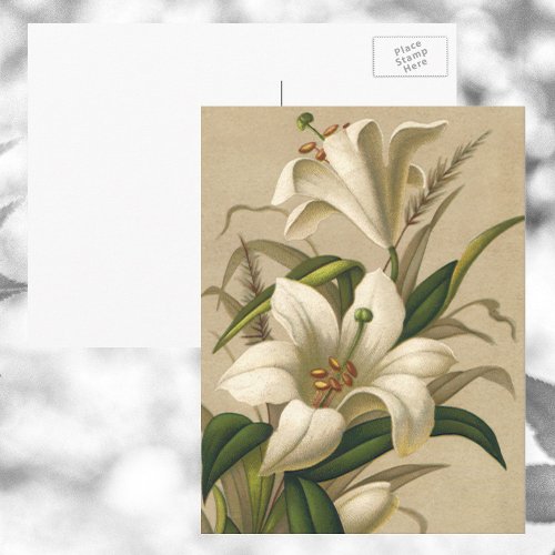 Vintage Easter Lilies Victorian Flowers in Bloom Postcard