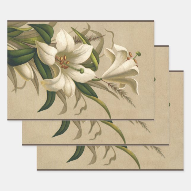 Vintage Easter Lilies, Victorian Flowers in Bloom Wrapping Paper Sheets (Set)