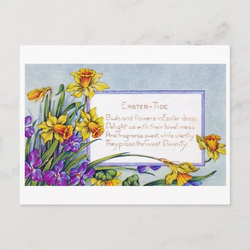 Vintage Easter Narcissus Flower Postcard