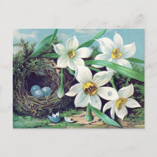 Vintage Easter Nest Blue Eggs White Flowers Postcard